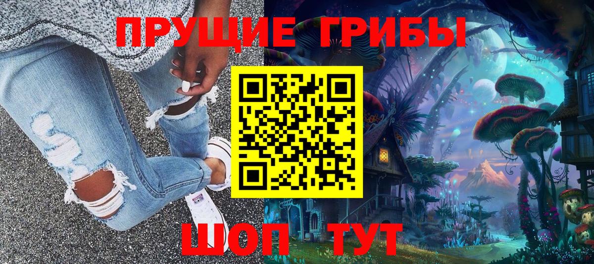 Псилоцибиновые грибы Psilocybe Россия